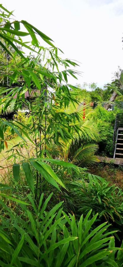 Villa Kotak Kotak Borneo Kudat Exterior foto